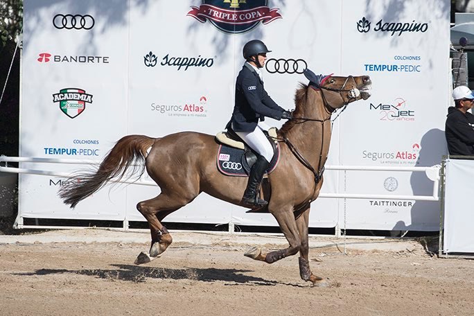 Triple Copa Scappino - Equestre